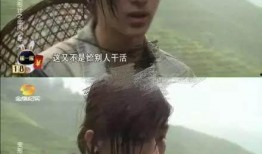 李宏毅爆料变形计视频,真实与虚假的碰撞